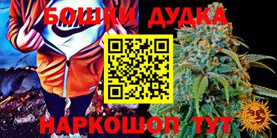 стаф Краснодар