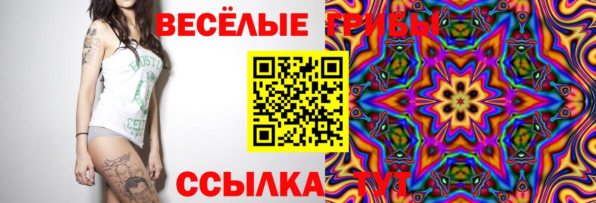 Галлюциногенные грибы Cubensis Унеча